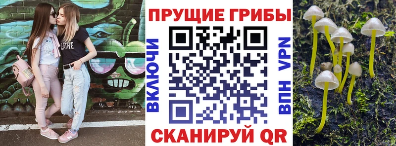 Псилоцибиновые грибы мухоморы  hydra tor  Инта  наркота 